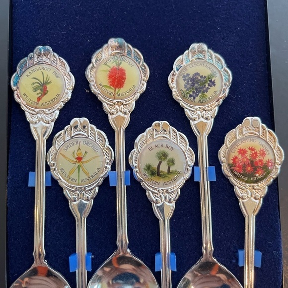 Boxed Set Six Australian Tea Spoons depicting the Flowers of Western Australia - Picture 4 of 13
